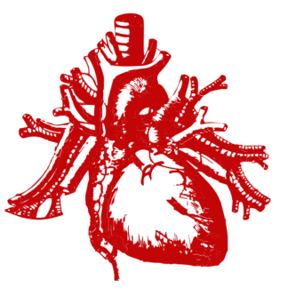 324x324 Real Heart Vector Png Vectorskey