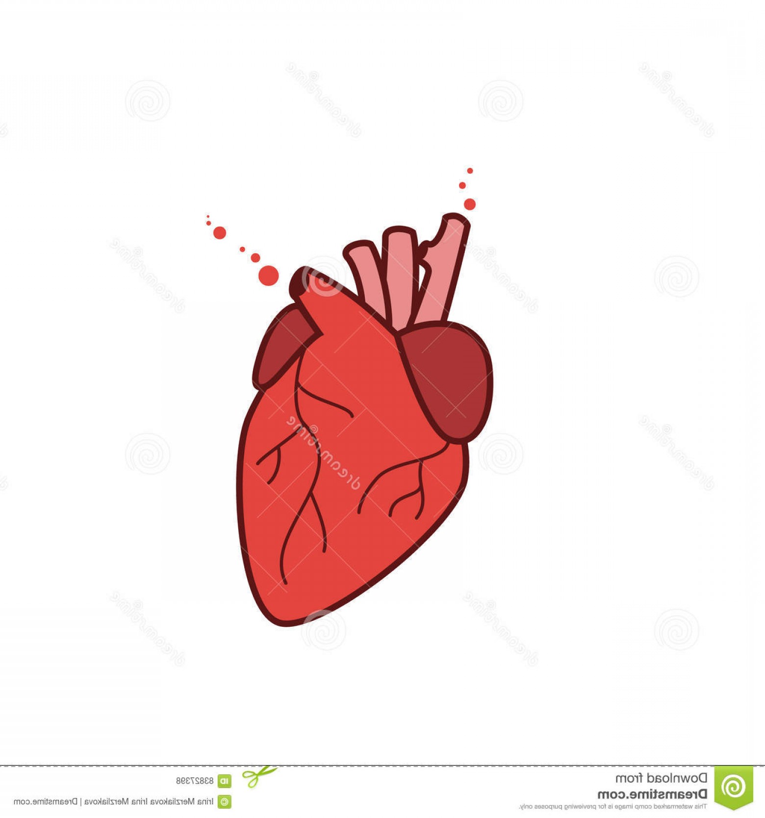 1560x1668 Real Heart Vector Catchsplace
