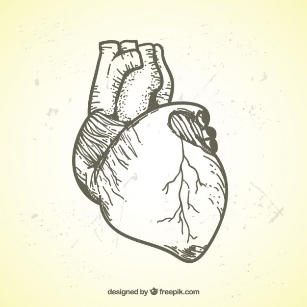 626x626 Realistic Illustration Of Hand Drawn Heart Vector Free Download