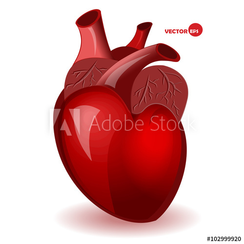 500x500 Body Heart With Veins In A Simple Comic Style Valentine's Day