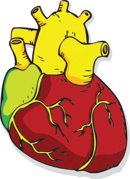 455x626 Download Vector