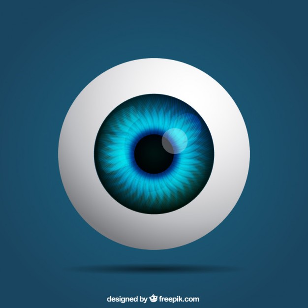 626x626 Realistic Eye Vector Free Download