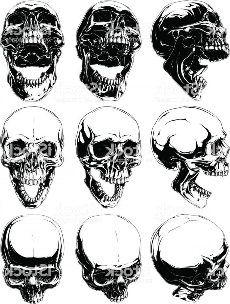 930x1228 Realistic Cool Detailed Graphic Skulls Vector Set Gm Soidergi