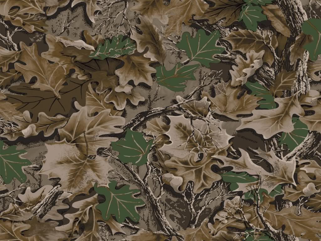 1024x768 Pink Mossy Oak Backgrounds Soft Pink Stocking Mountain Shadow