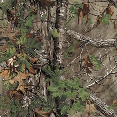 Realtree Camo Vector at Vectorified.com | Collection of Realtree Camo ...