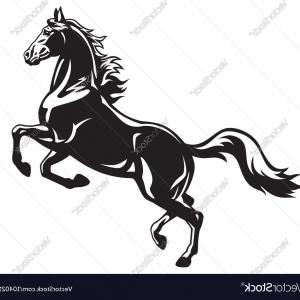 Rearing Horse Black White Vector Soidergi 300x300 Rearing Horse Black White Vector Soidergi