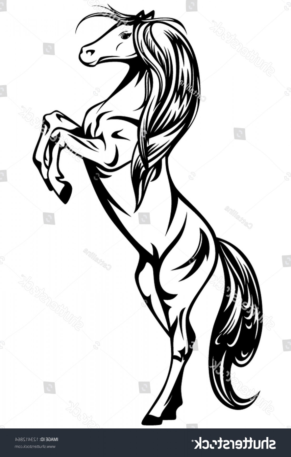 Rearing Horse Vector at Vectorified.com | Collection of Rearing Horse ...