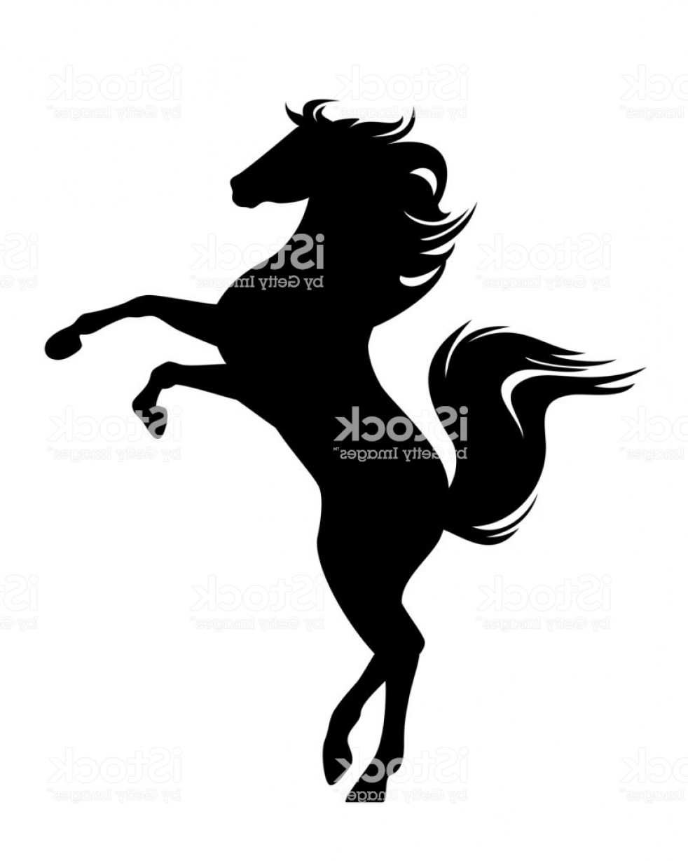 Rearing Up Mustang Horse Black Vector Silhouette Gm Cqrecords 982x1228 Rearing Up Mustang Horse Black Vector Silhouette Gm Cqrecords
