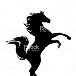 Rearing Up Mustang Horse Black Vector Silhouette Gm Studiogrfx 300x300 Rearing Up Mustang Horse Black Vector Silhouette Gm Studiogrfx