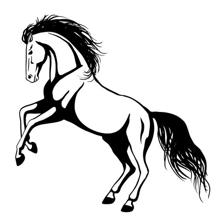 Rearing Horse Royalty Free Vector Graphics 450x444 Rearing Horse Royalty Free Vector Graphics