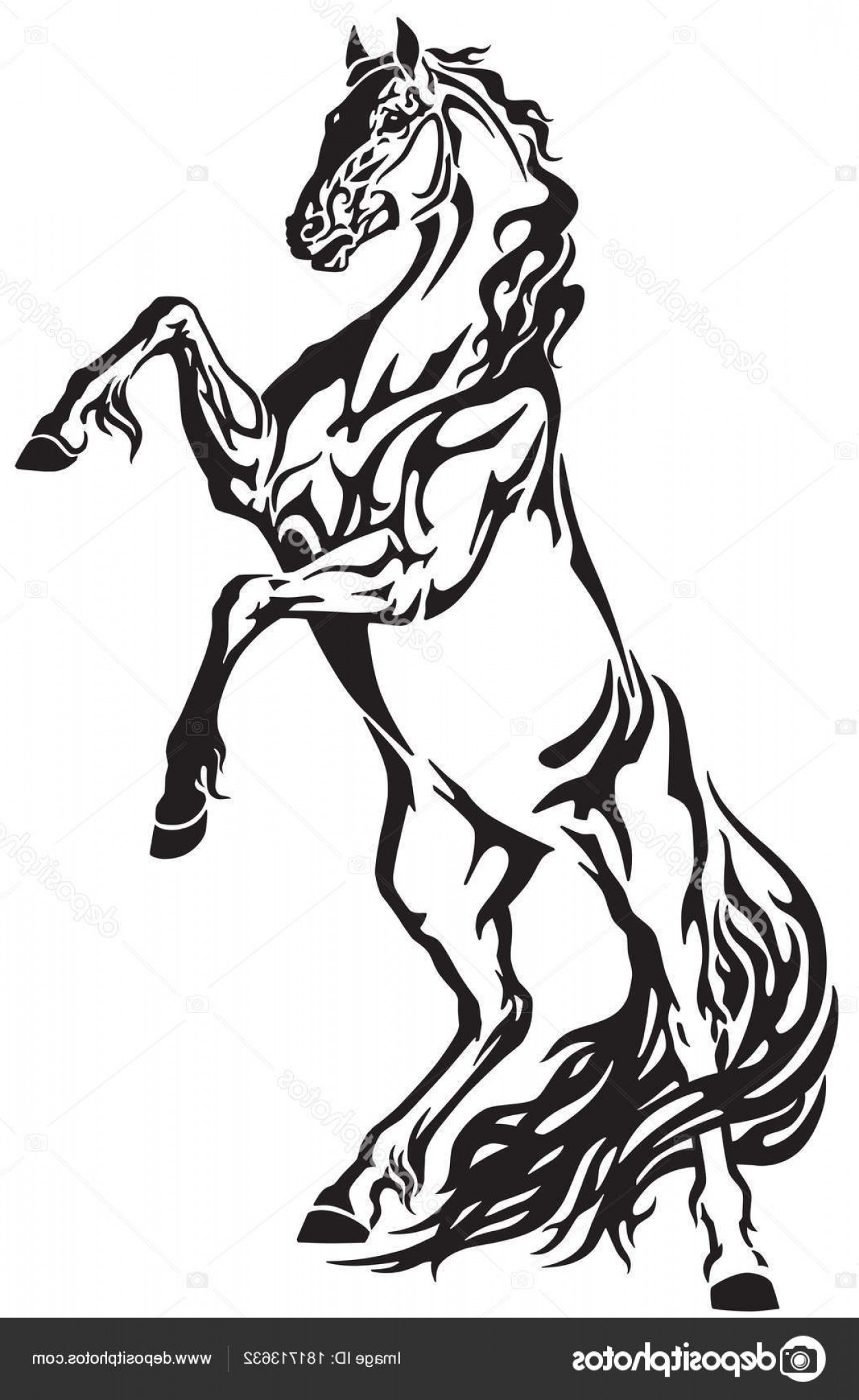 Rearing Horse Vector at Vectorified.com | Collection of Rearing Horse ...