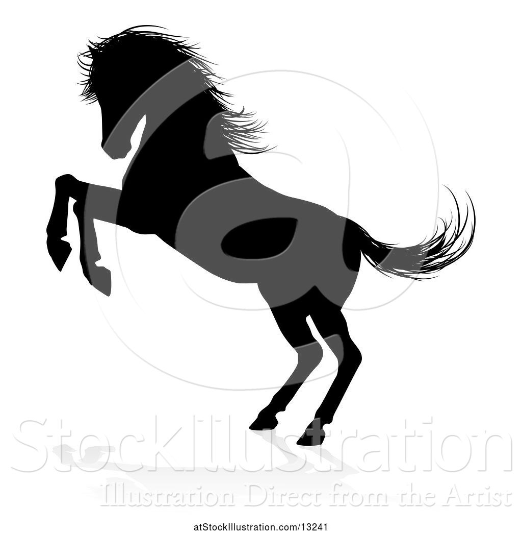 Vector Illustration Of Silhouetted Rearing Horse With A Shadow 1024x1044 Vector Illustration Of Silhouetted Rearing Horse With A Shadow