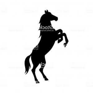 Isolated Black Silhouette Of Rearing Horse On White Background 300x300 Isolated Black Silhouette Of Rearing Horse On White Background