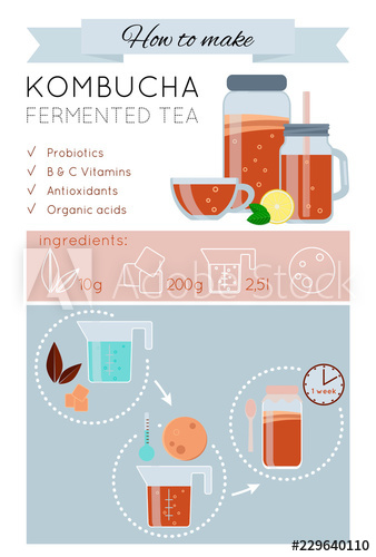 Kombucha Fermented Probiotic Tea Recipe Vector Infographic How 338x500 Kombucha Fermented Probiotic Tea Recipe Vector Infographic How
