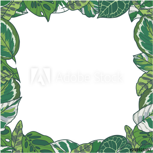 500x500 Rectangular Vector Border With Tropical Plant Leaves Like Prayer