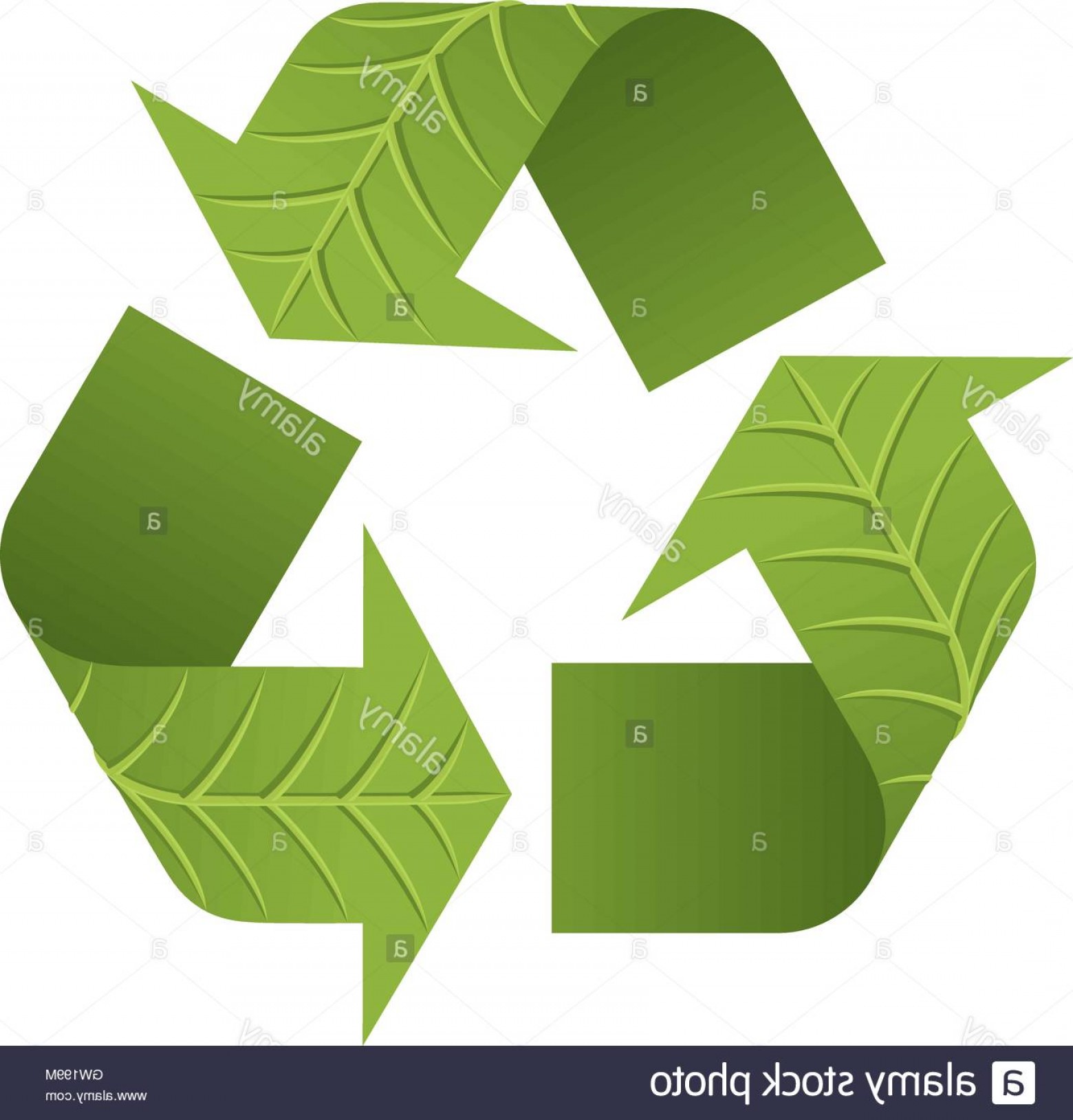 1560x1628 Stock Photo Leaf Recycle Logo Vector Graphic The Iconic Recycle