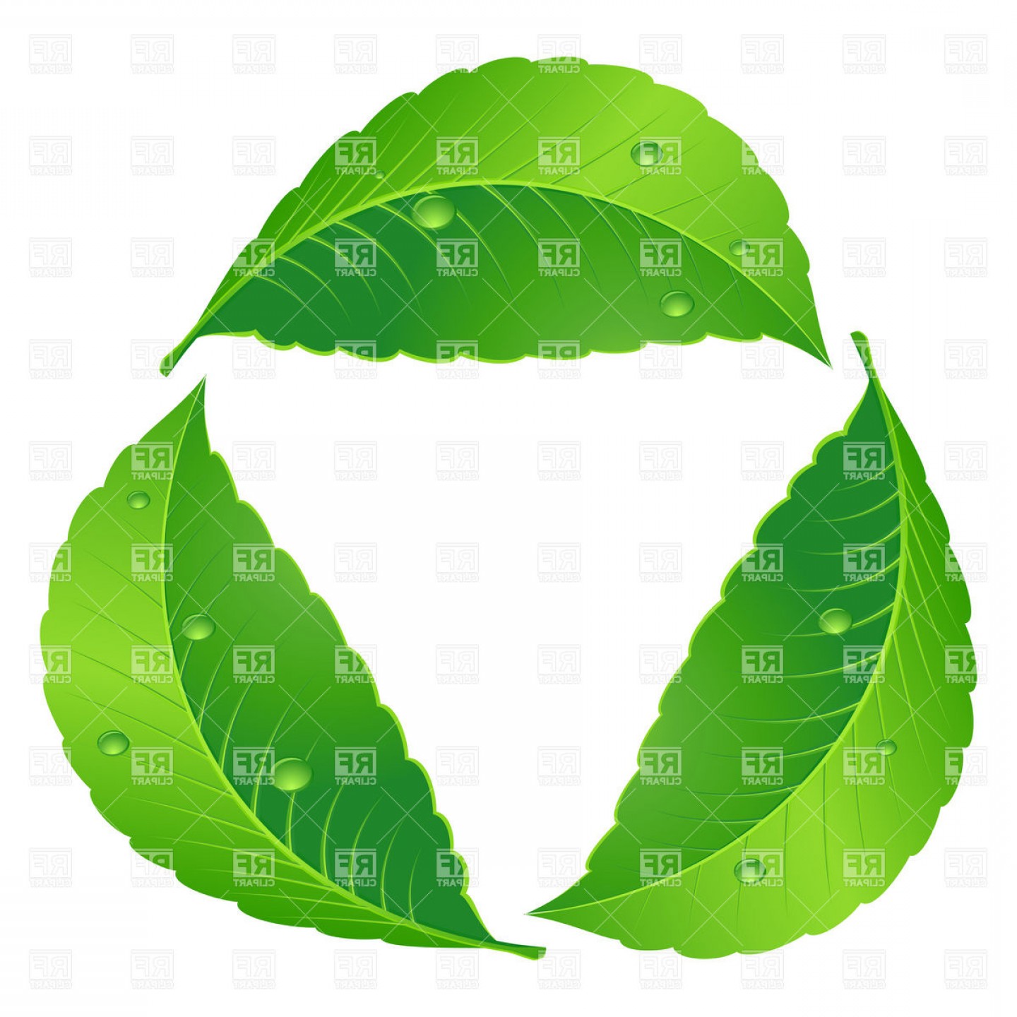 1440x1440 Leaves Symbol Of Recycle Vector Clipart Hoodamathrun