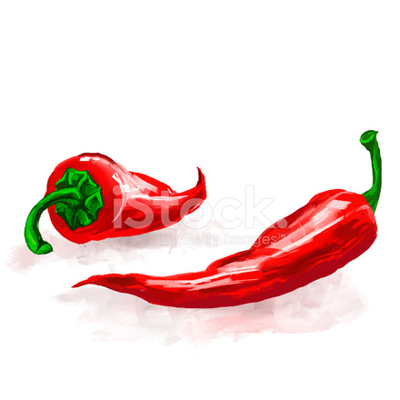 Chilli Peppers Vector Illustration Hand Drawn Painted Stock Vector 440x440 Chilli Peppers Vector Illustration Hand Drawn Painted Stock Vector