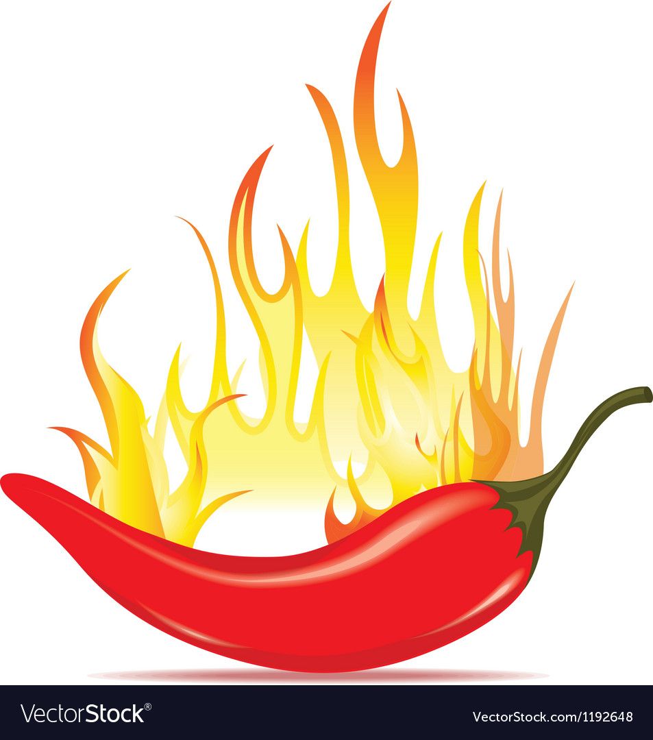 Hot Chilli Pepper In Energy Fire Royalty Free Vector Image 953x1080 Hot Chilli Pepper In Energy Fire Royalty Free Vector Image