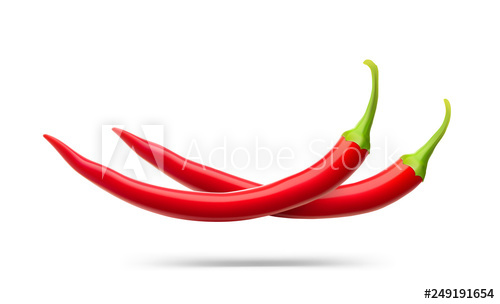 Realistic Red Chilli Peppers Vector Illustration Isolated 500x304 Realistic Red Chilli Peppers Vector Illustration Isolated