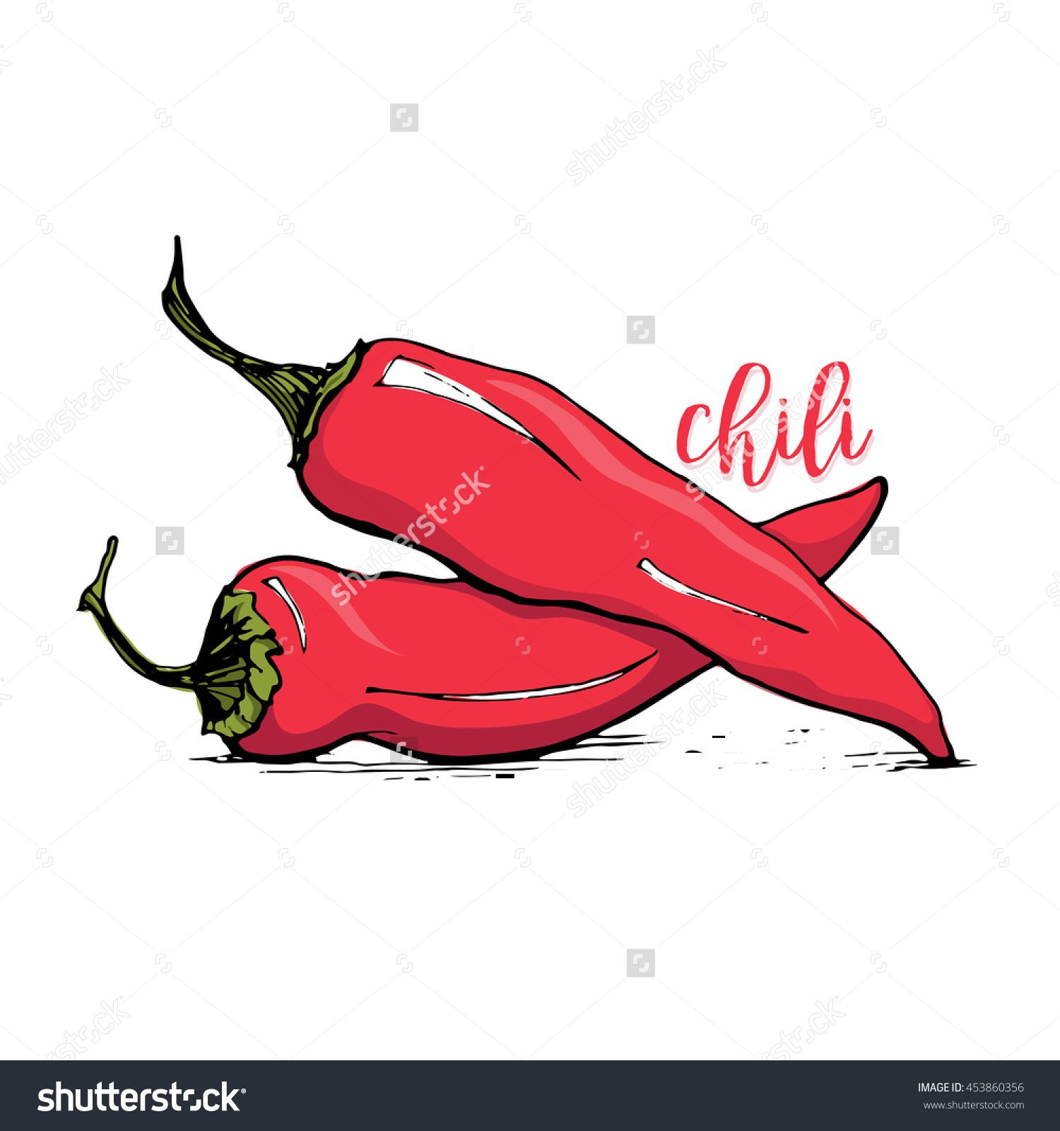 Red Chilli Pepper Sketch Style Vector Illustration Isolated 1500x1600 Red Chilli Pepper Sketch Style Vector Illustration Isolated