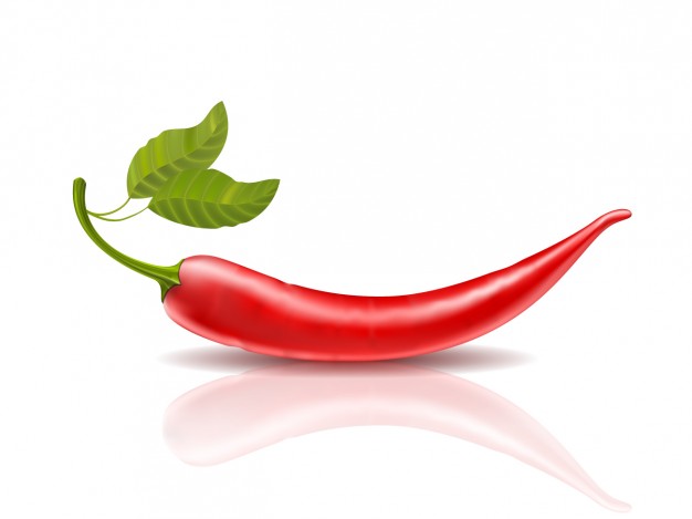 Red Chilli Vectors, Photos And Free Download 626x469 Red Chilli Vectors, Photos And Free Download