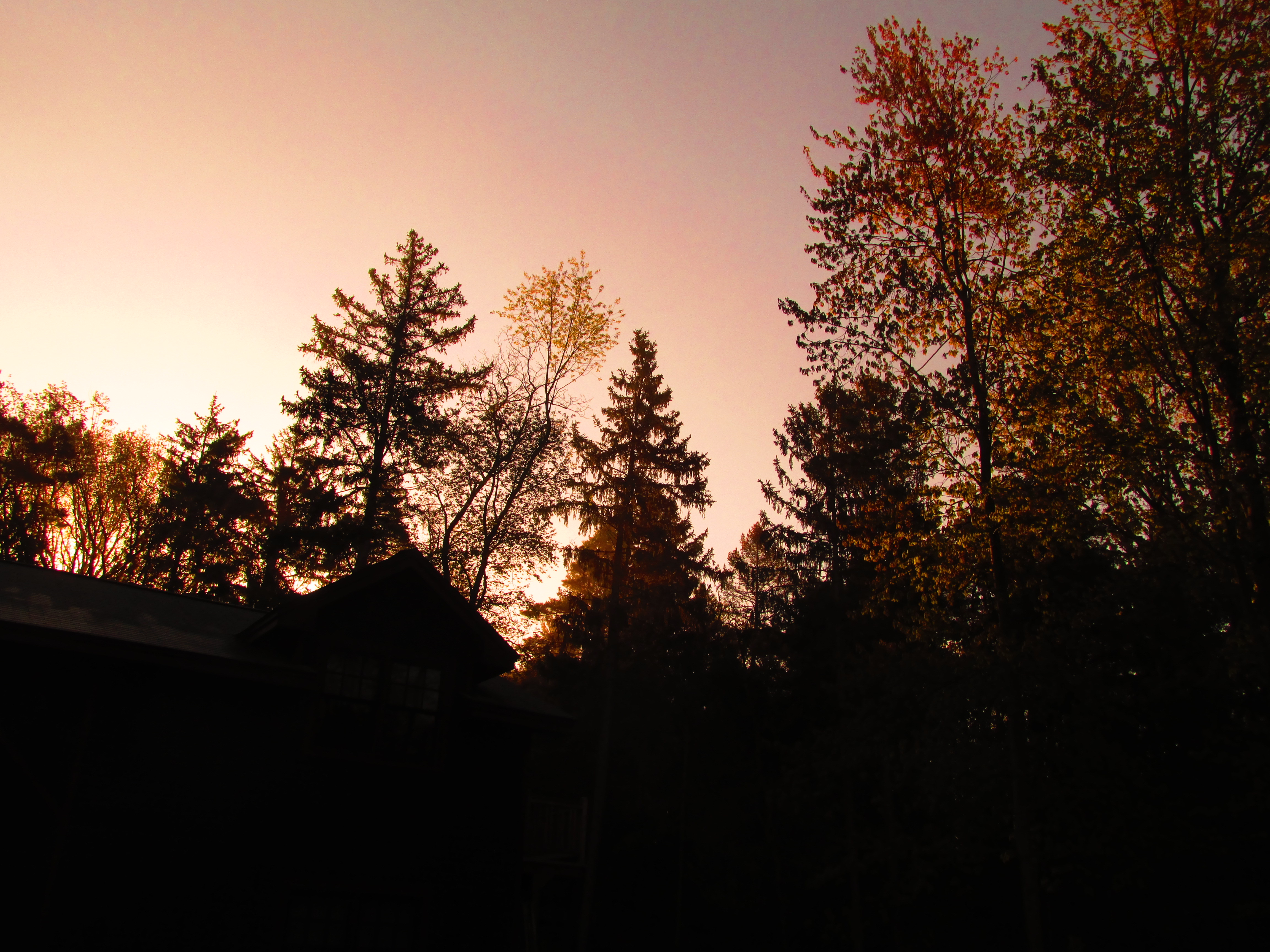 Red Dawn Vector Charley 4608x3456 Red Dawn Vector Charley