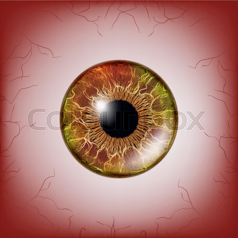 800x800 Red Eye Scary Bloody Realistic Stock Vector Colourbox