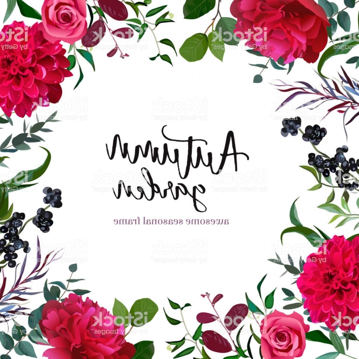 Grenery Mix Square Vector Frame With Burgundy Red Flowers Gm 1228x1228 Grenery Mix Square Vector Frame With Burgundy Red Flowers Gm