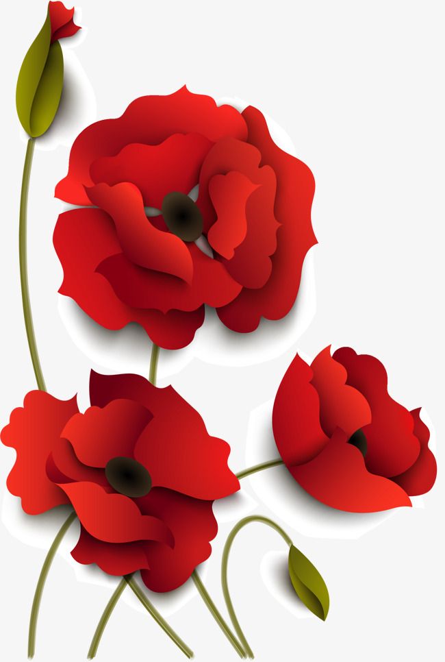 Hand Painted Red Flowers, Hand Vector, Hand, Petal Png And Vector 650x966 Hand Painted Red Flowers, Hand Vector, Hand, Petal Png And Vector