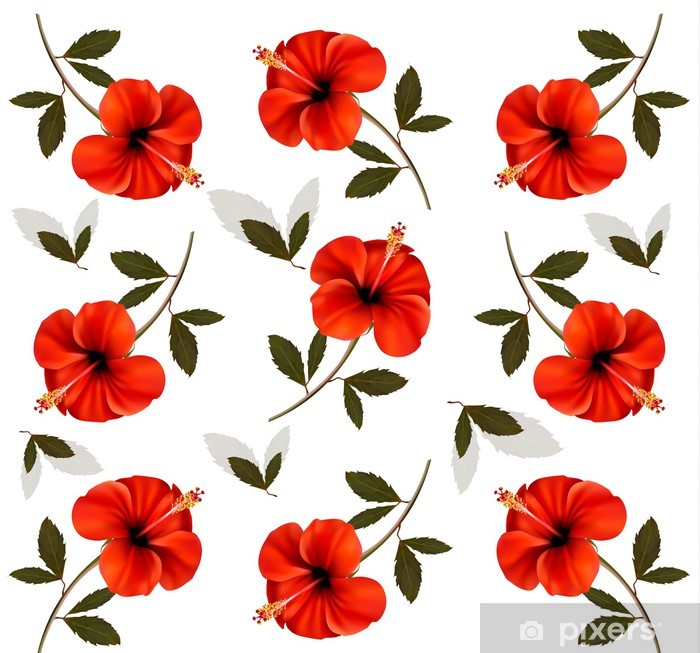 Pattern Of Beautiful Red Flowers Vector Poster 700x653 Pattern Of Beautiful Red Flowers Vector Poster