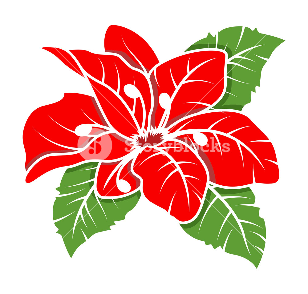 Red Flower Vector Illustration Royalty Free Stock Image 1000x955 Red Flower Vector Illustration Royalty Free Stock Image