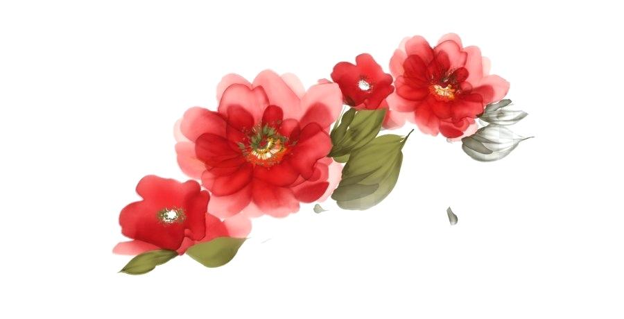 Red Watercolor Flowers Free Vector 900x460 Red Watercolor Flowers Free Vector