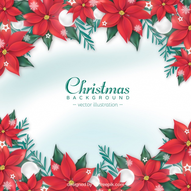 Christmas Background With Realistic Red Flowers Vector Free Download 626x626 Christmas Background With Realistic Red Flowers Vector Free Download