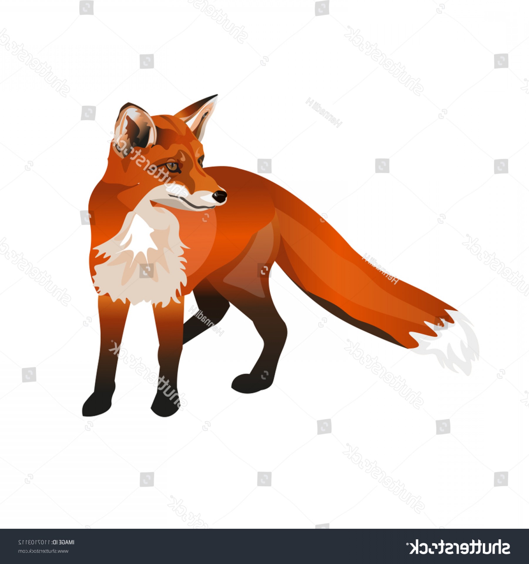 1800x1920 Fox Vector Catchsplace