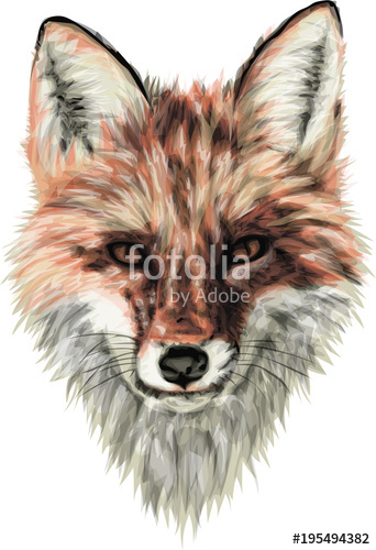 342x500 Red Fox