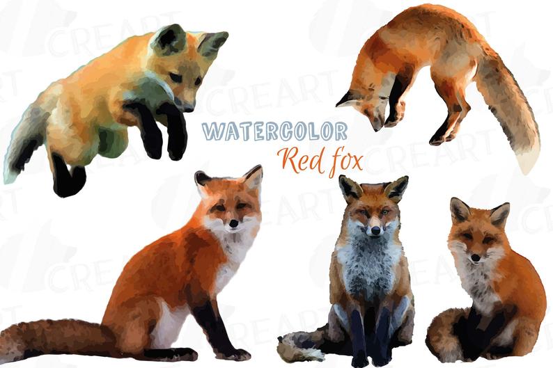 794x529 Red Fox Watercolor Clip Art Woodland Watercolor Fox Wood Etsy