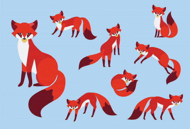626x426 Cute Red Fox Vector Illustration Vector Premium Download