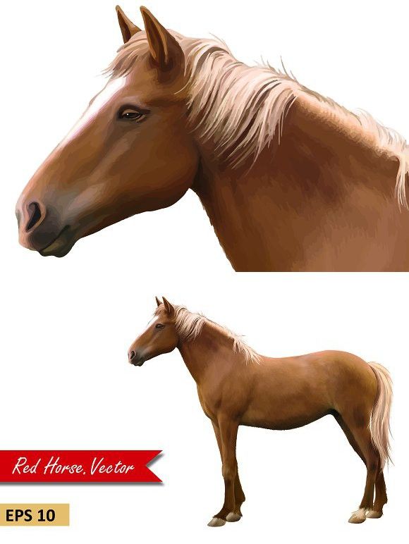 580x772 Brown Horse, Side View Vector Working Design Horses, Brown