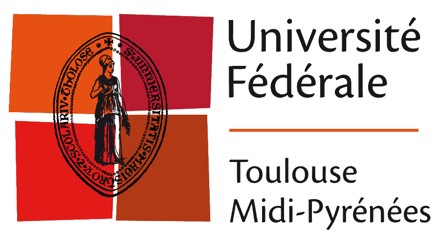 Toulouse Midi Vector Logo Free 900x500 Toulouse Midi Vector Logo Free