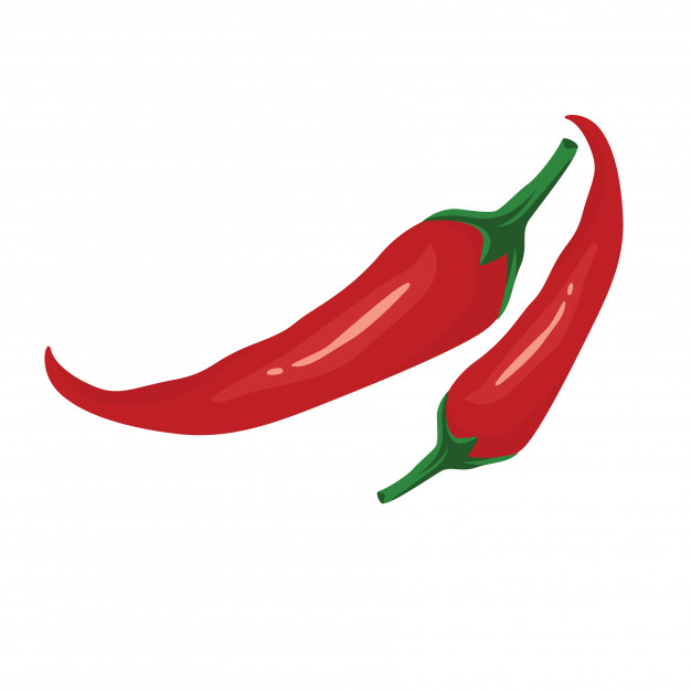 626x626 Chili Red Pepper Vector Vector Premium Download