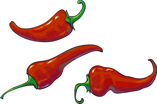 500x331 Red Pepper Vector Illustration Free Download