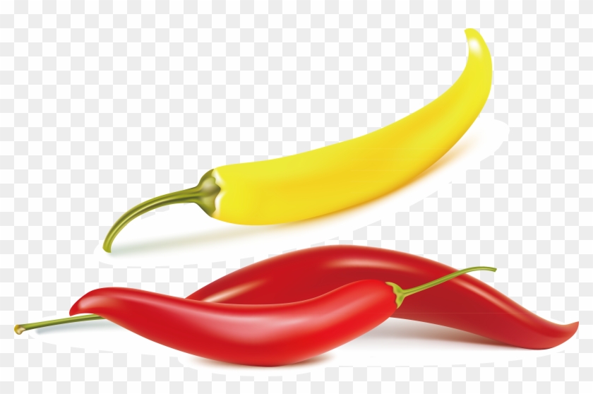 840x558 Image Library Download Chili Vector Pattern