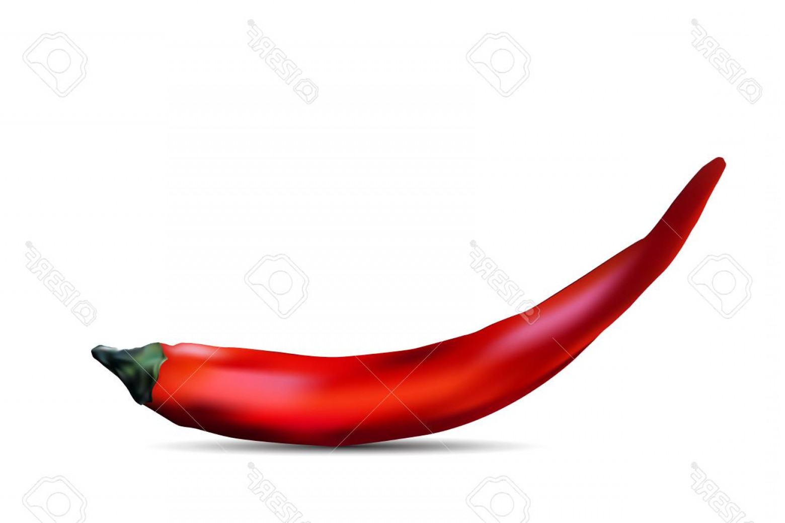 1560x1039 Photostock Vector Red Fresh Bitter Chili Pepper Isolated On White