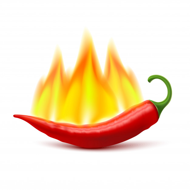 626x626 Chili Vectors, Photos And Free Download