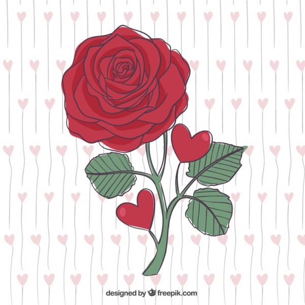 Red Rose Free Vector