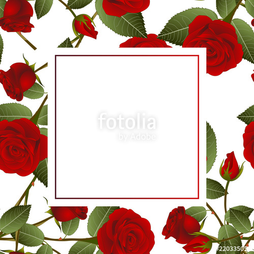 500x500 Red Rose On White Banner Card Stock Image And Royalty Free Vector