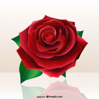200x200 Red Rose Free Vector Graphic Art Free Download