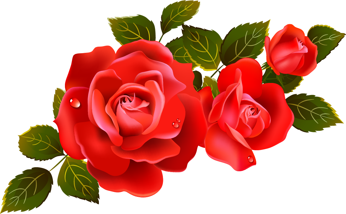 1172x725 Red Rose Vector Clipart Images Gallery For Free Download Myreal