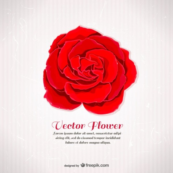 600x600 Template With Red Rose Free Vector